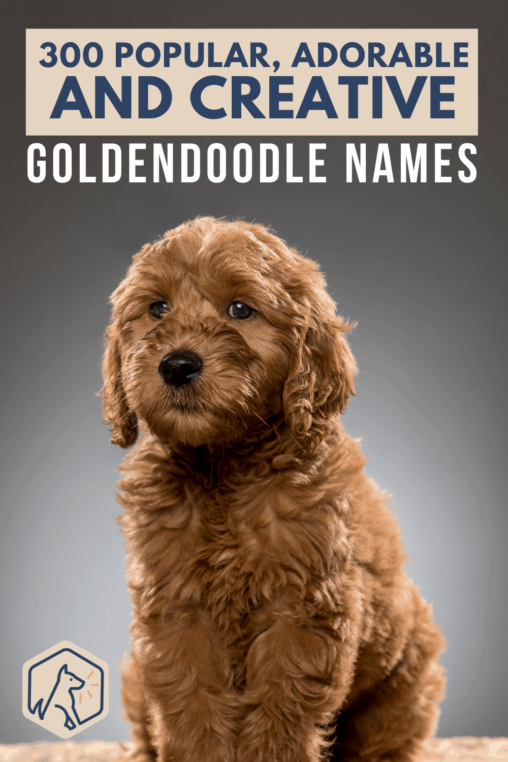 Popular, Adorable And Creative Goldendoodle Names