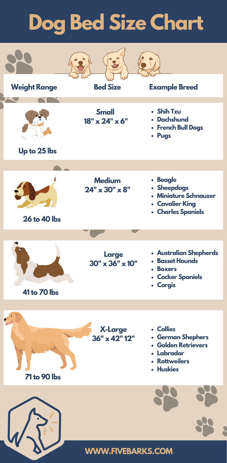 Dog Bed Size Guide