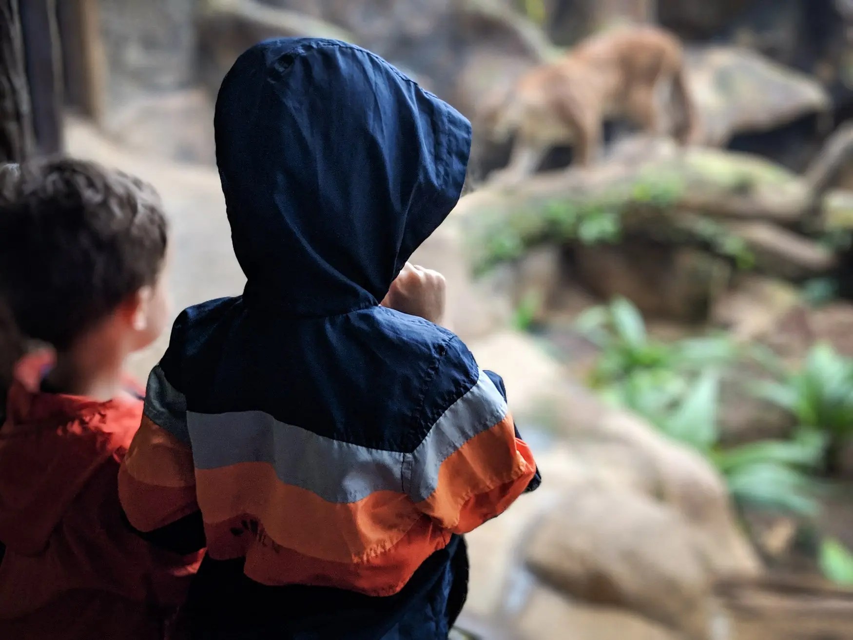 Everything you need to know before your first time to Costa Rica with