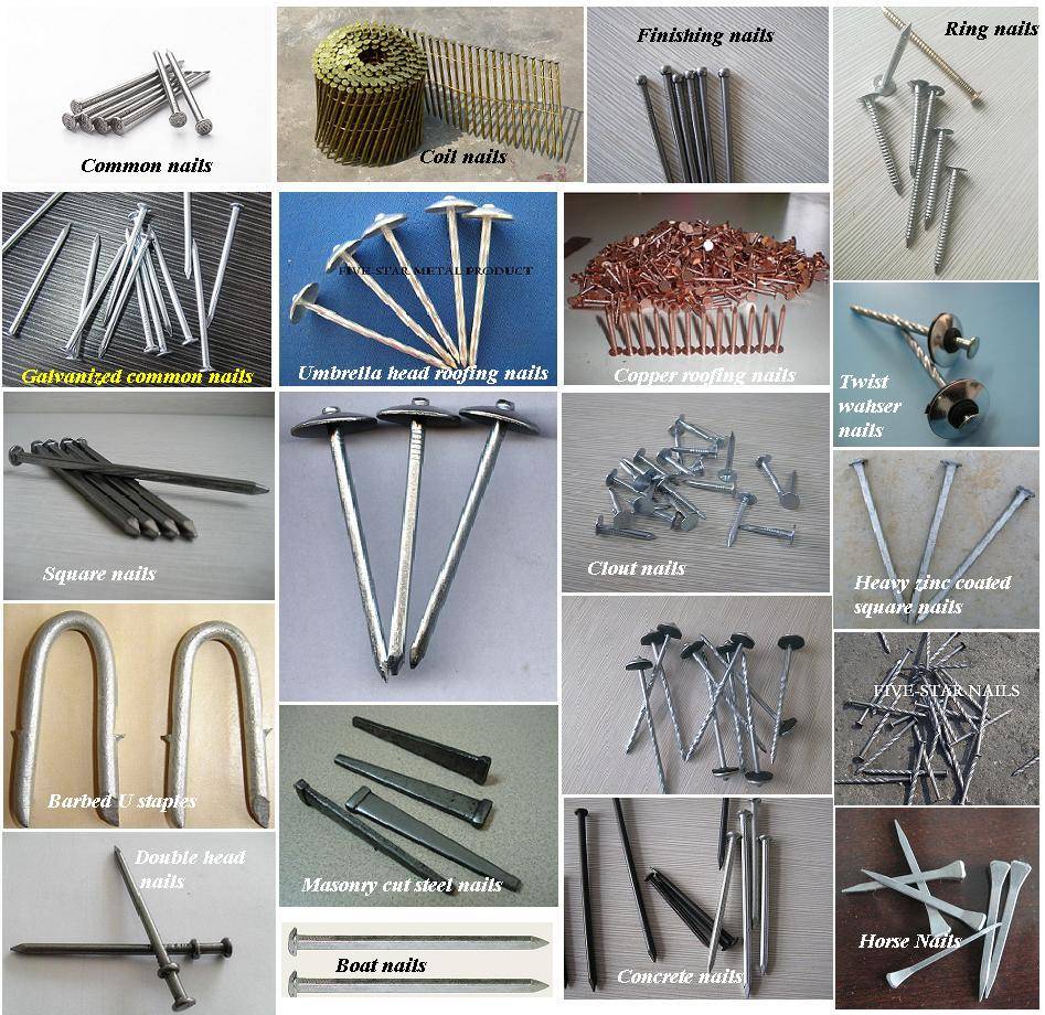 Zinc coated nails manufacturers and suppliers FiveStar
