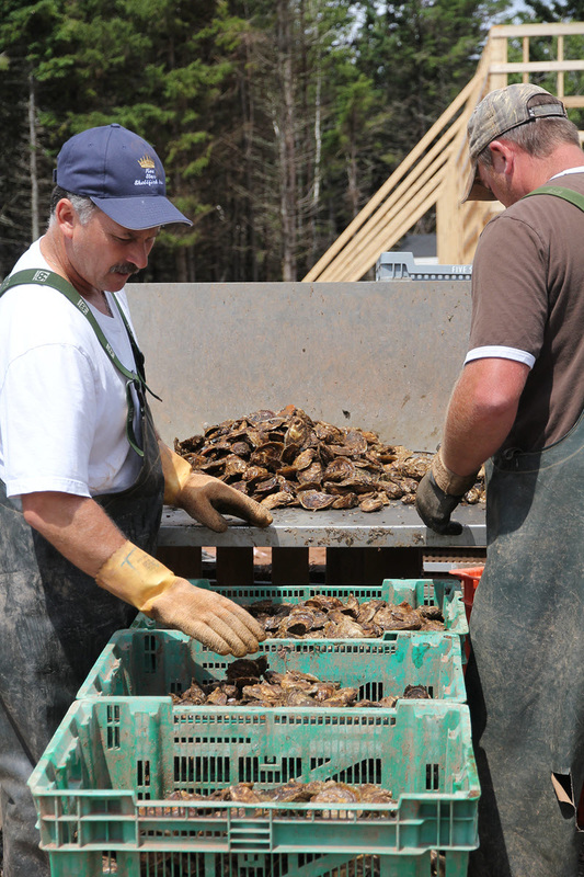 You'll receive a free, fully itemised quotation with no obligations. About Us - Five Star Shellfish, Milligan's Wharf, Freeland ...
