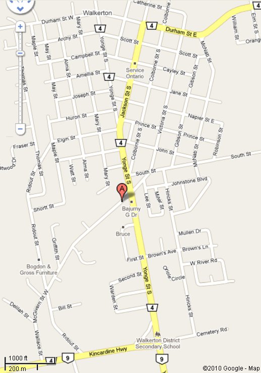 Rallies for accountability of Ontario's children's aid societies, 2010