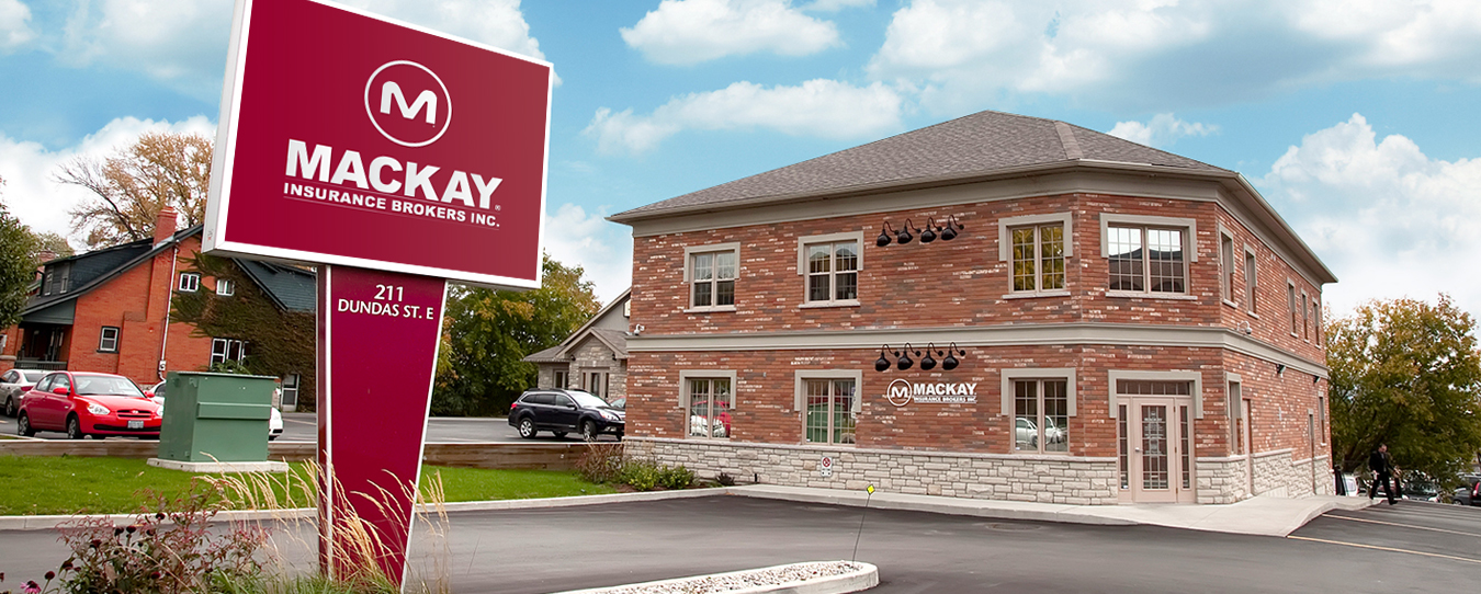 Mackay Insurance Fixed Fur Life Fixing the world, one pet at a time