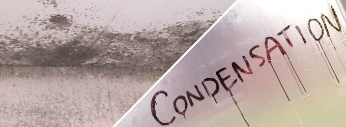 How to Cure Condensation FREE Top 10 Tips to a Condensation Cure
