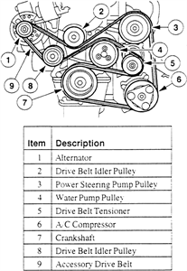 SOLVED: Need diagram for 1999 ford escort zx2 serpentine - 1999 Ford