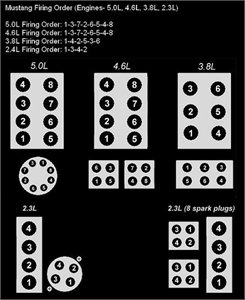 Spark plug wiring diagram for a 1998 f150 4.6l - 1998 Ford F150 Regular