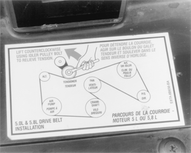 SOLVED: I need a belt diagram on a 87 f150 ford truck - Fixya
