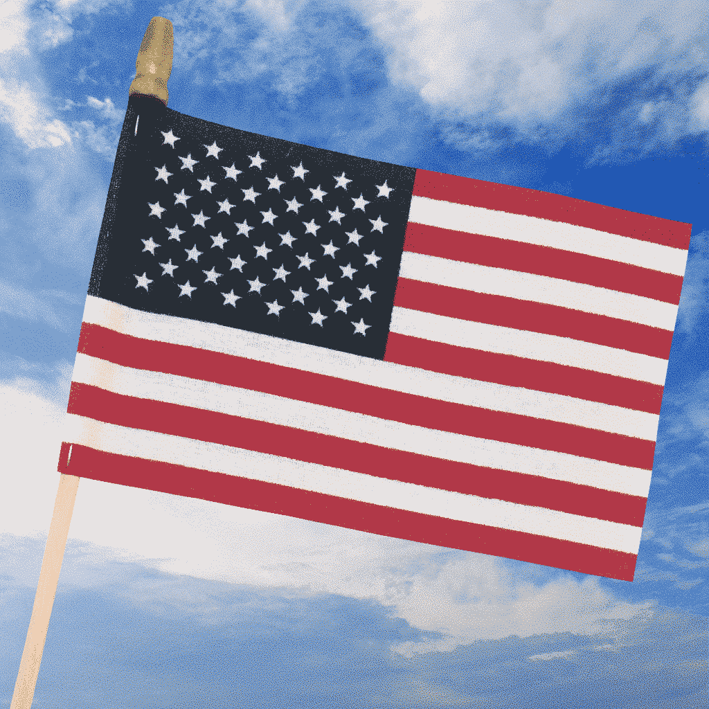 12" x 18" Cotton American Stick Flags