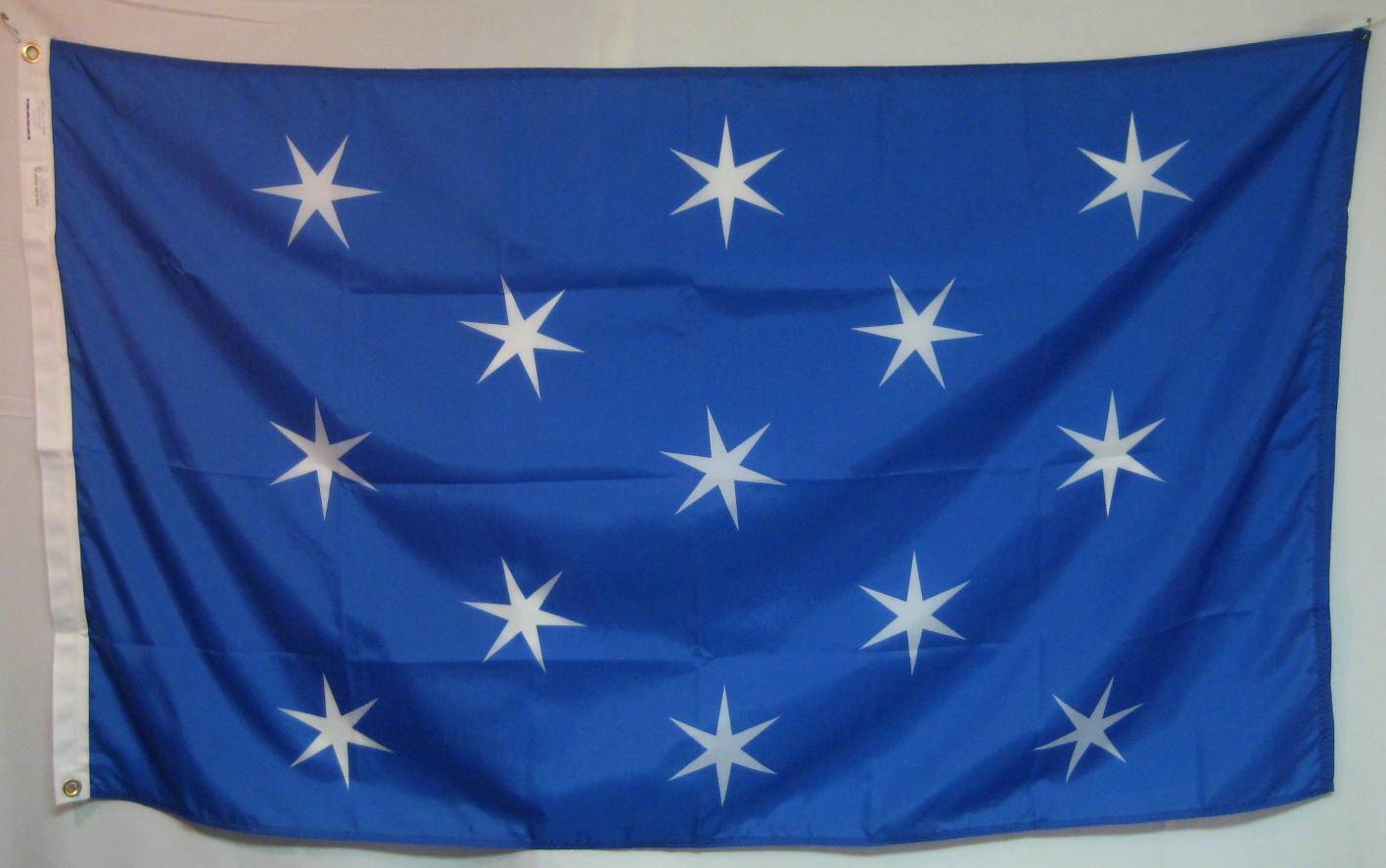 Was this actually Washington's personal/headquarters flag? r