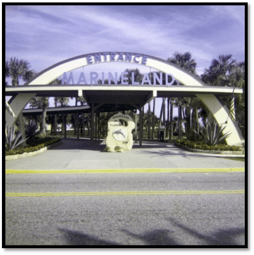 History of Flagler County Flagler County Sheriff's Office