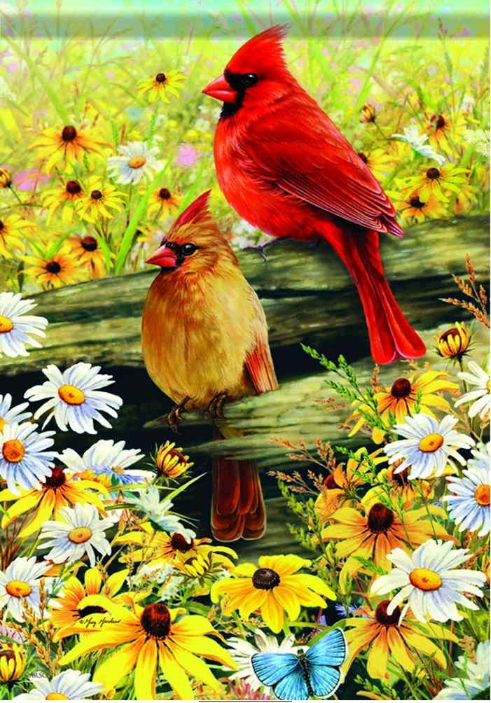 Springtime Cardinals House Flag & more garden flags at