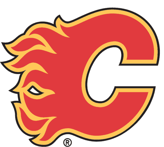 Hertl gets two-game ban for high-sticking Calgary Flames forward; h…