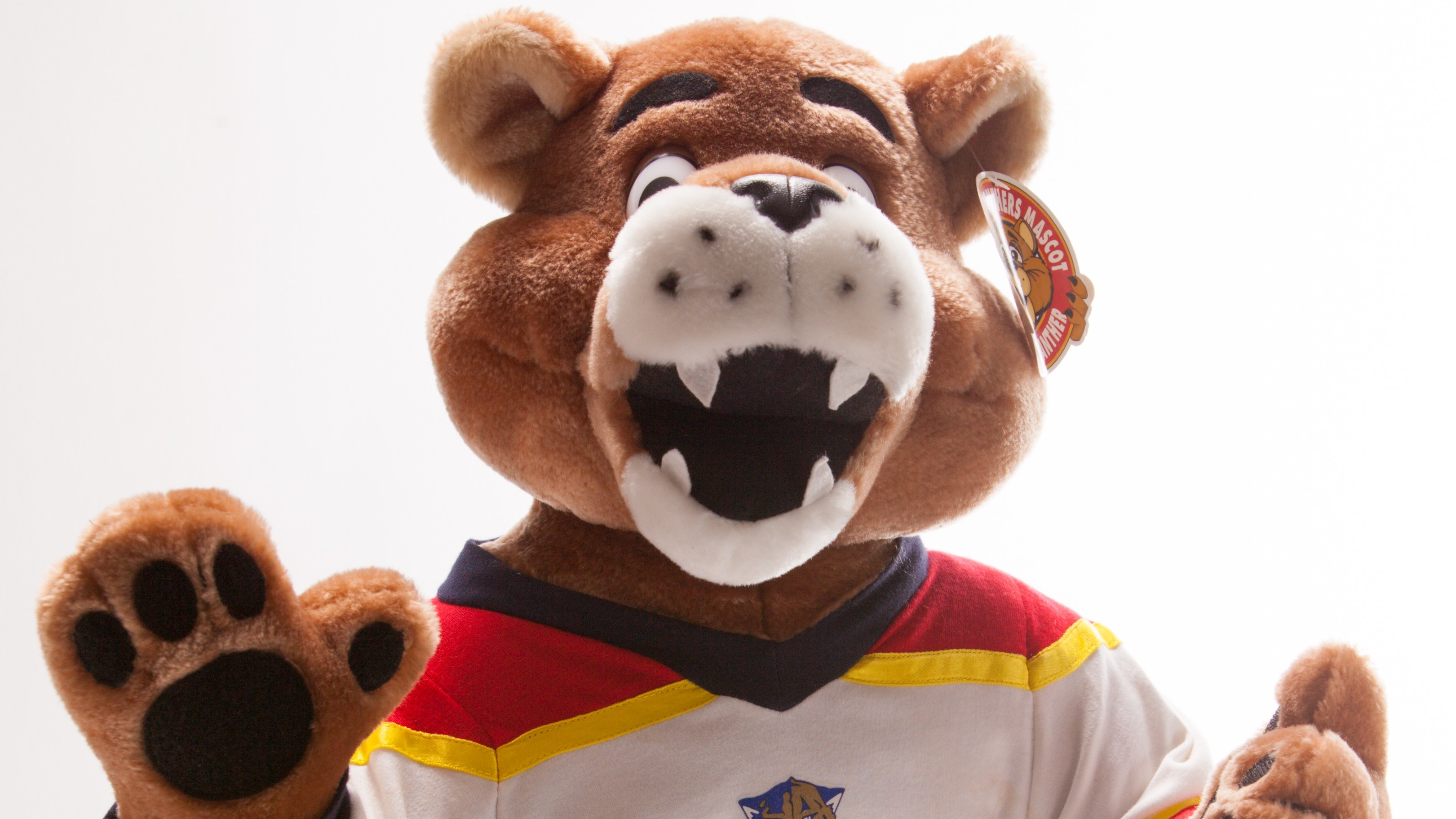 STANLEY C. PANTHER Florida Panthers Virtual Vault