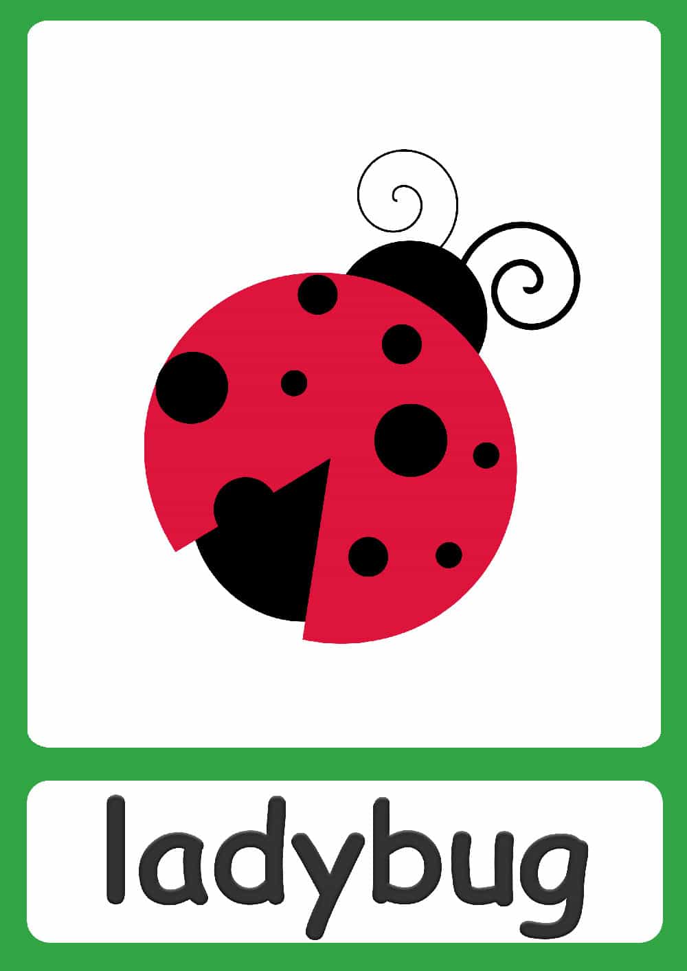 Bugs Flashcards Simple colorful insect flashcards for your classroom