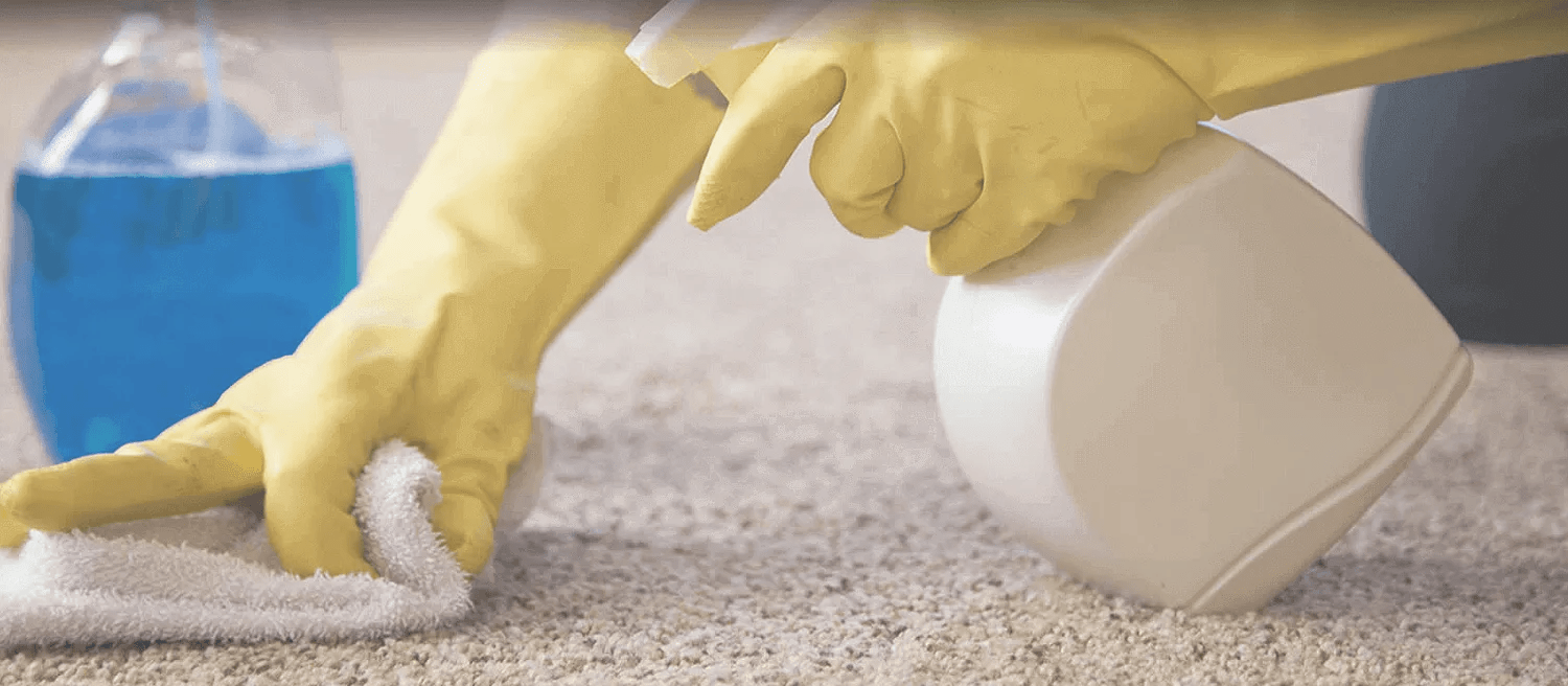 House Cleaning Auckland Cleaners Auckland Flash Cleaning