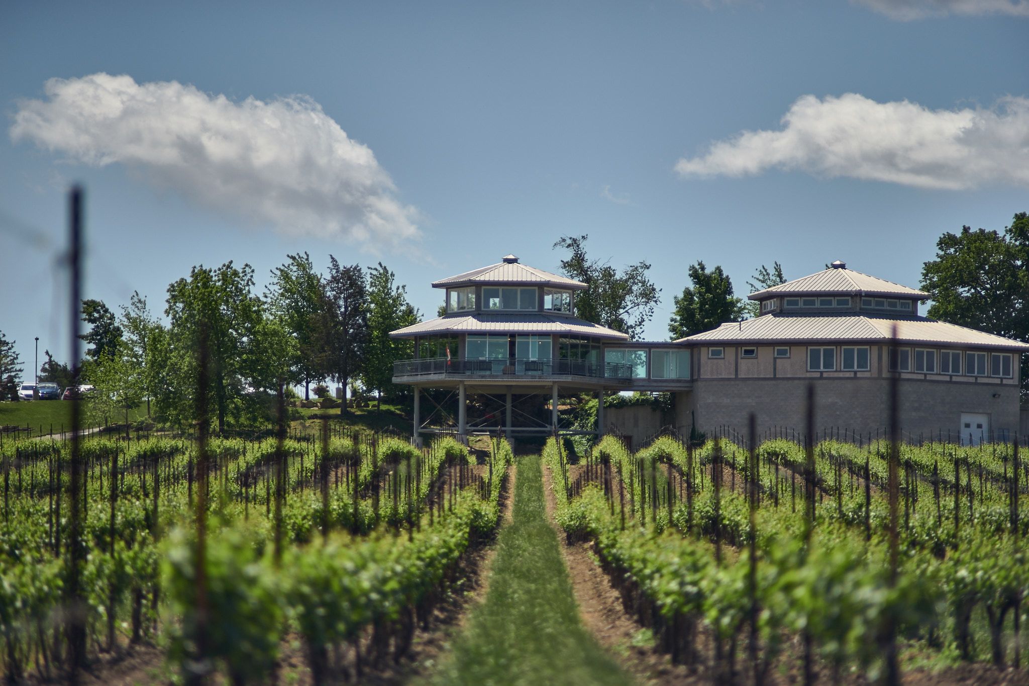 Events Flat Rock Cellars