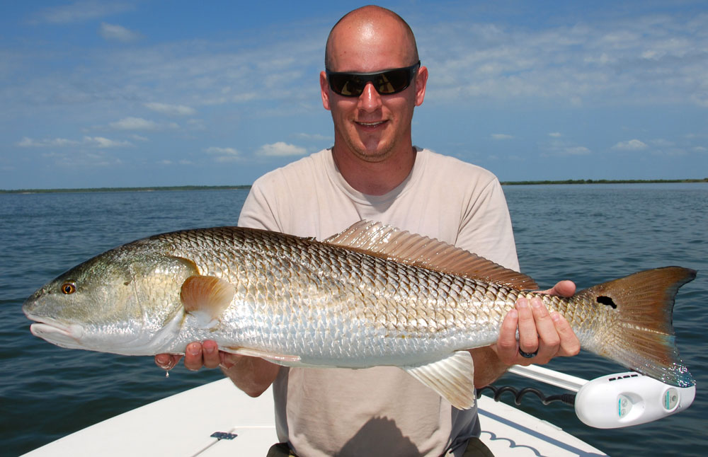 Central Florida Redfish Gallery•Redfish Charters near Orlando
