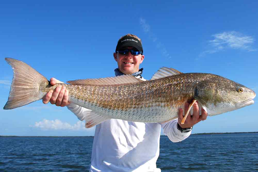 Central Florida Redfish Gallery•Redfish Charters near Orlando