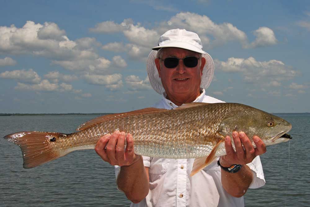 Central Florida Redfish Gallery•Redfish Charters near Orlando