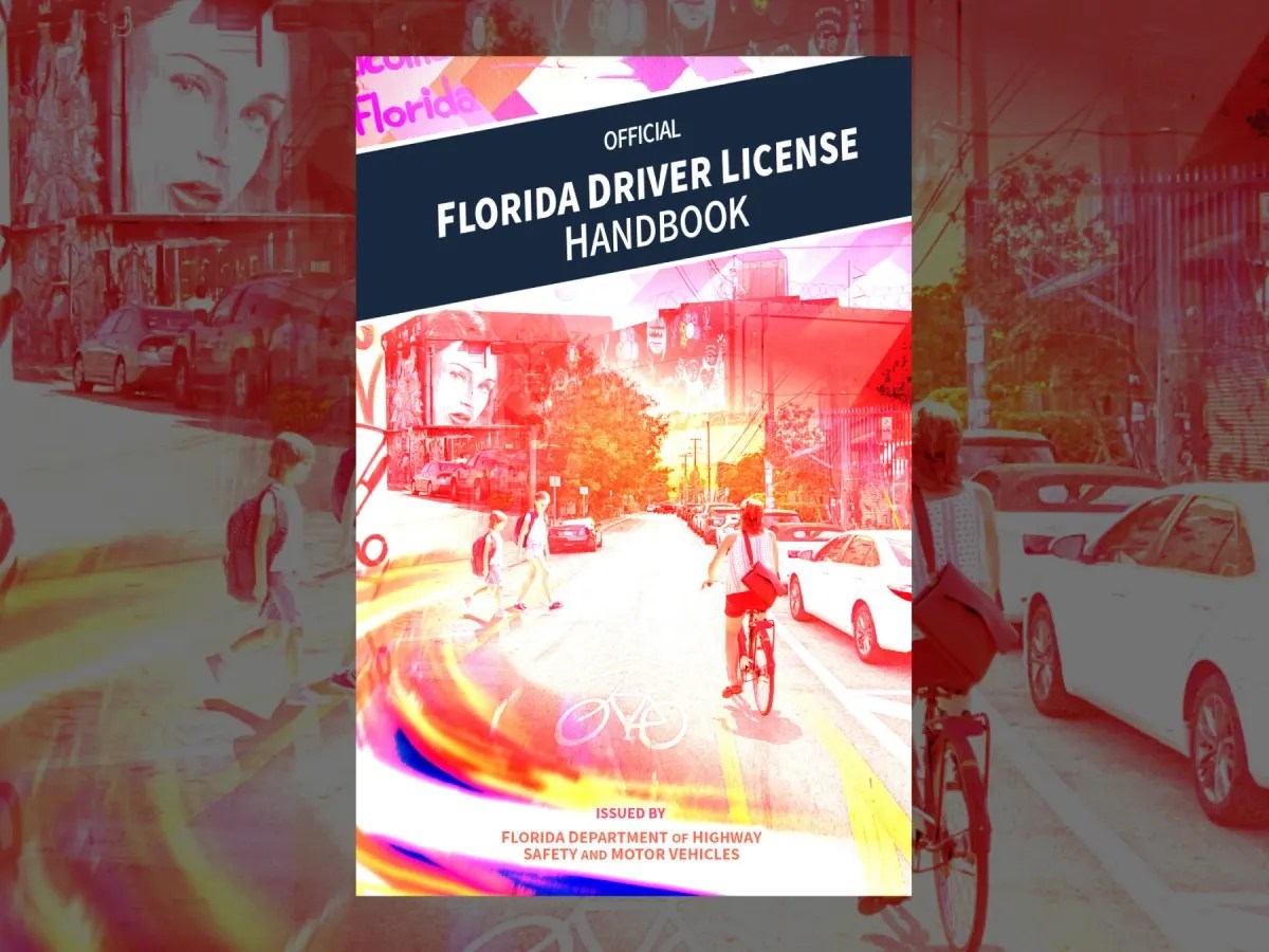 Florida Dmv Handbook Creole 2024 Fina Rosana