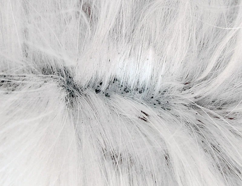 How To Get Rid Of Flea Dirt On My Cat Cat Lovster