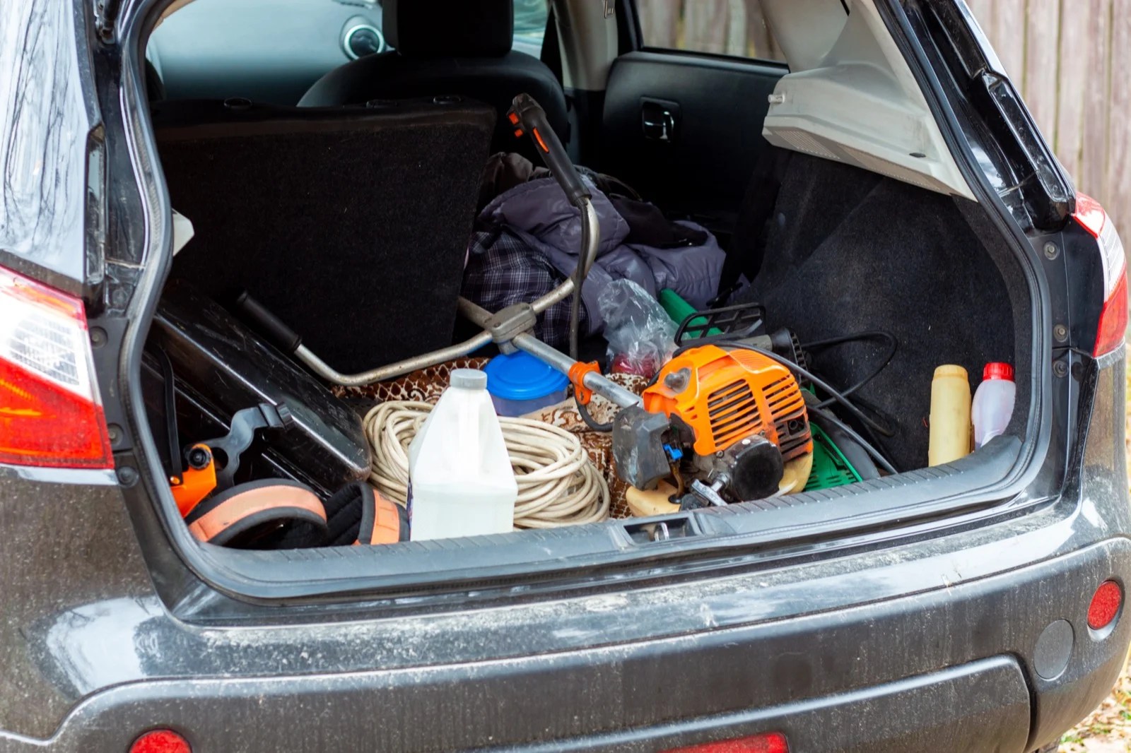 Get Rid of Fleas in Your Car 9 Quick and Effective Tips