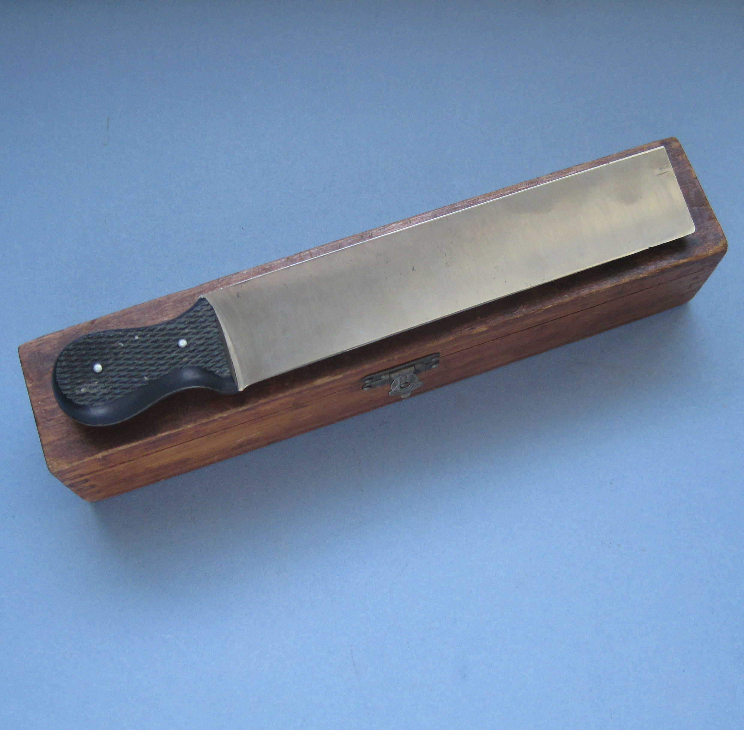 19thCentury Microtome Knife Fleaglass