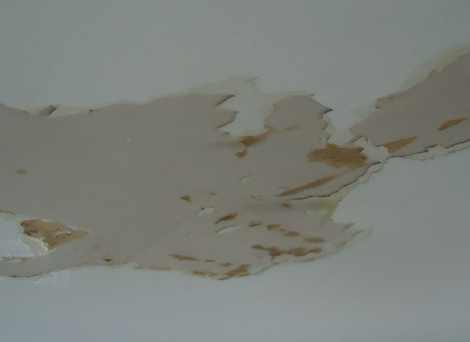 StepbyStep Guide to Fixing WaterDamaged Drywall Fleet on Fields