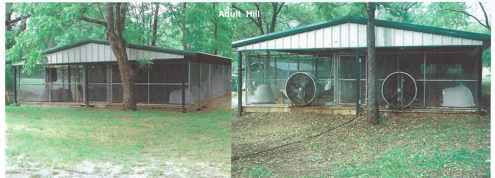 Fleischerheim Kennel Facility and Home For Sale