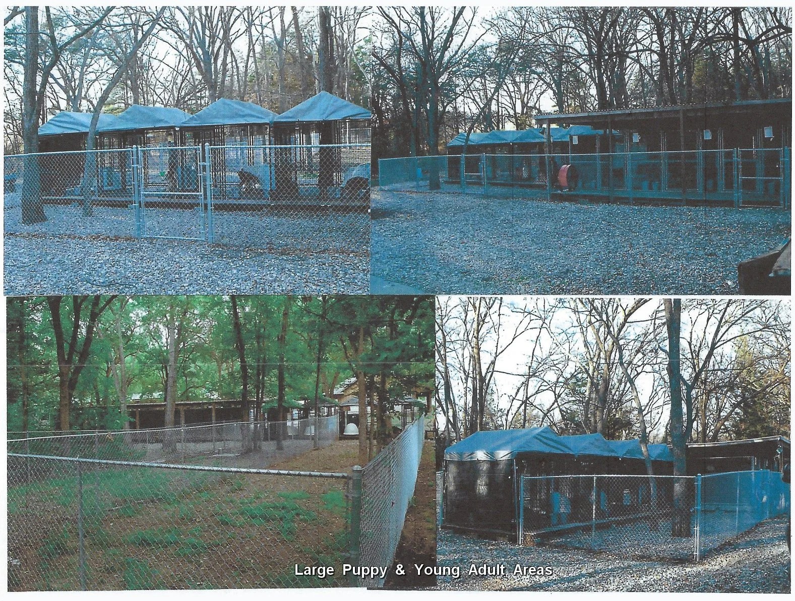 Fleischerheim Kennel Facility and Home For Sale