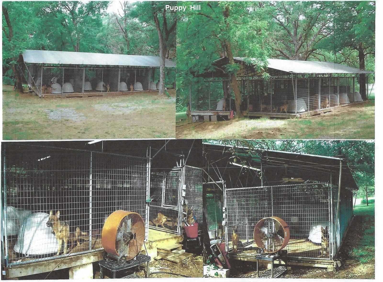 Fleischerheim Kennel Facility and Home For Sale