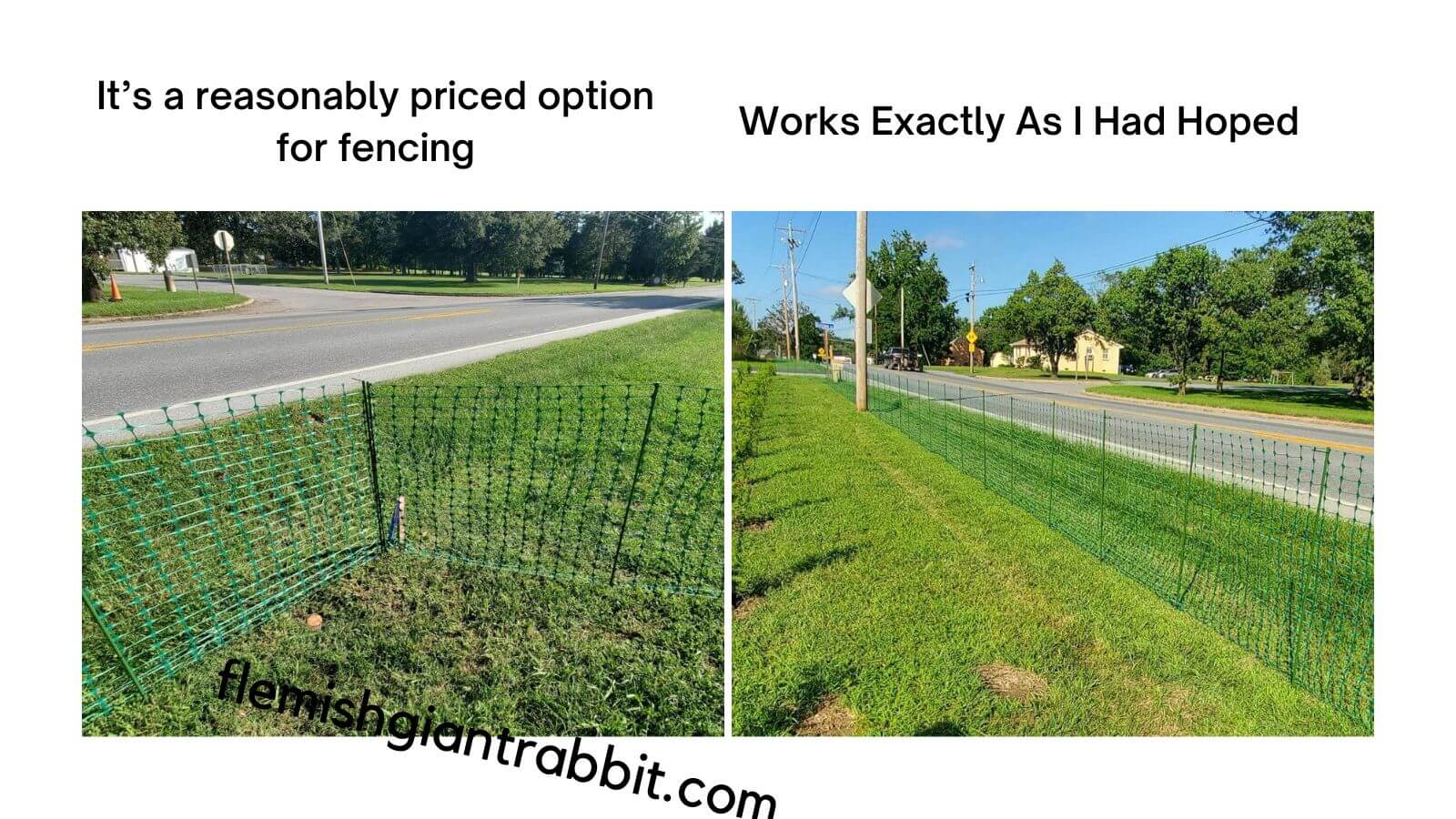 8 Best Rabbit Fence Reviews For 2023 Reviews & Top Picks