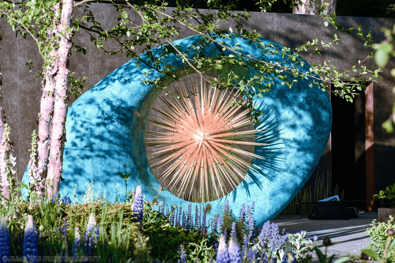 David Harber Flera Gallery