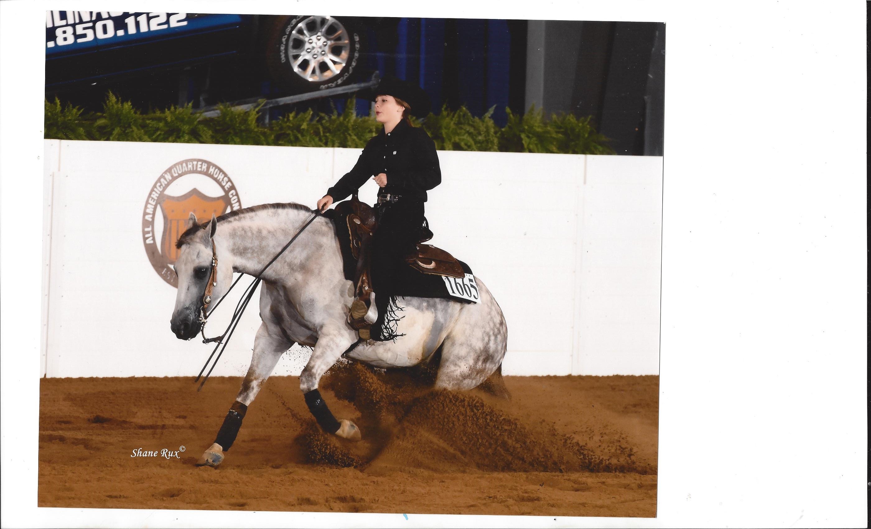 Fletcher's Reining Show Horse Performance Reining Horses Fletcher's Horse World Waterford