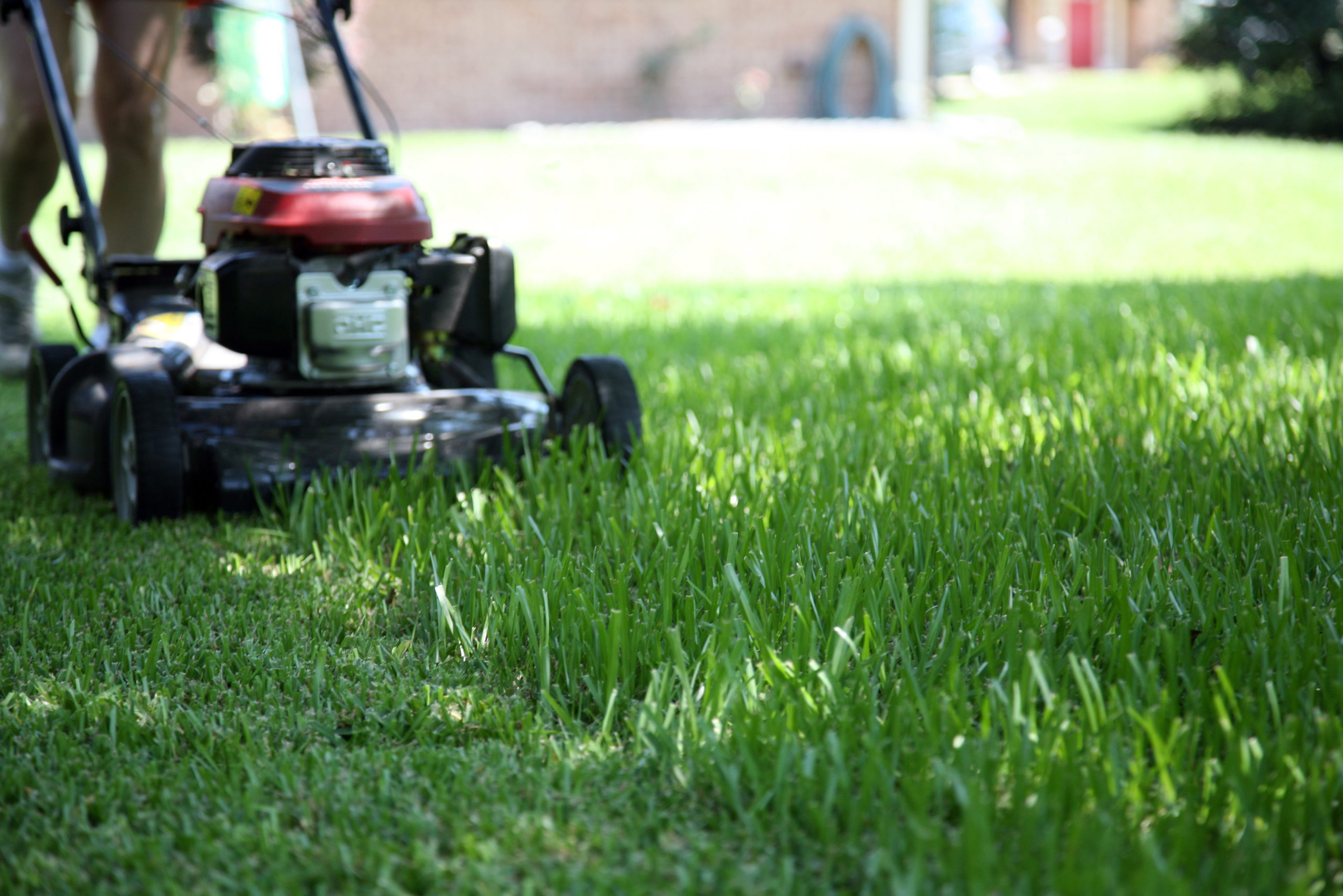 How Does The Primer Work On A Lawn Mower at Ryan Doughty blog