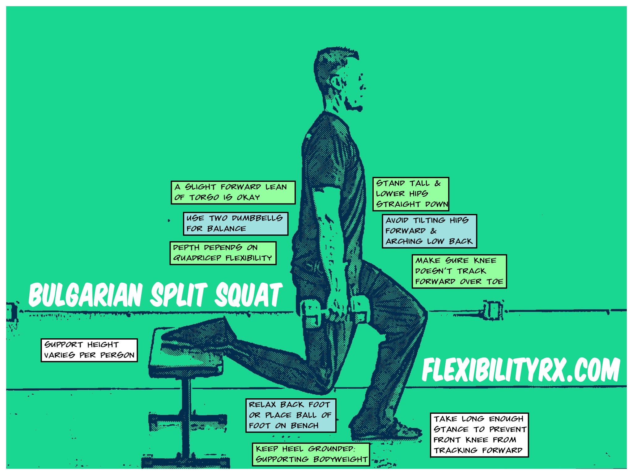 Single Leg Exercises Bulgarian Split Squat FlexibilityRx