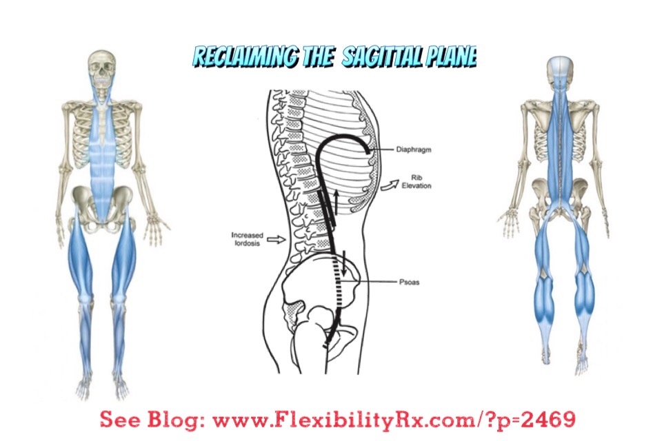 Reclaiming the Sagittal Plane FlexibilityRx™ Performance Based