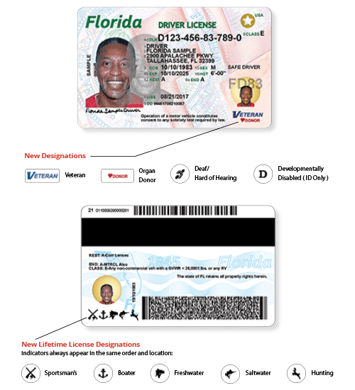 Florida Id Card Singing Potatoes sidineyartesanatos