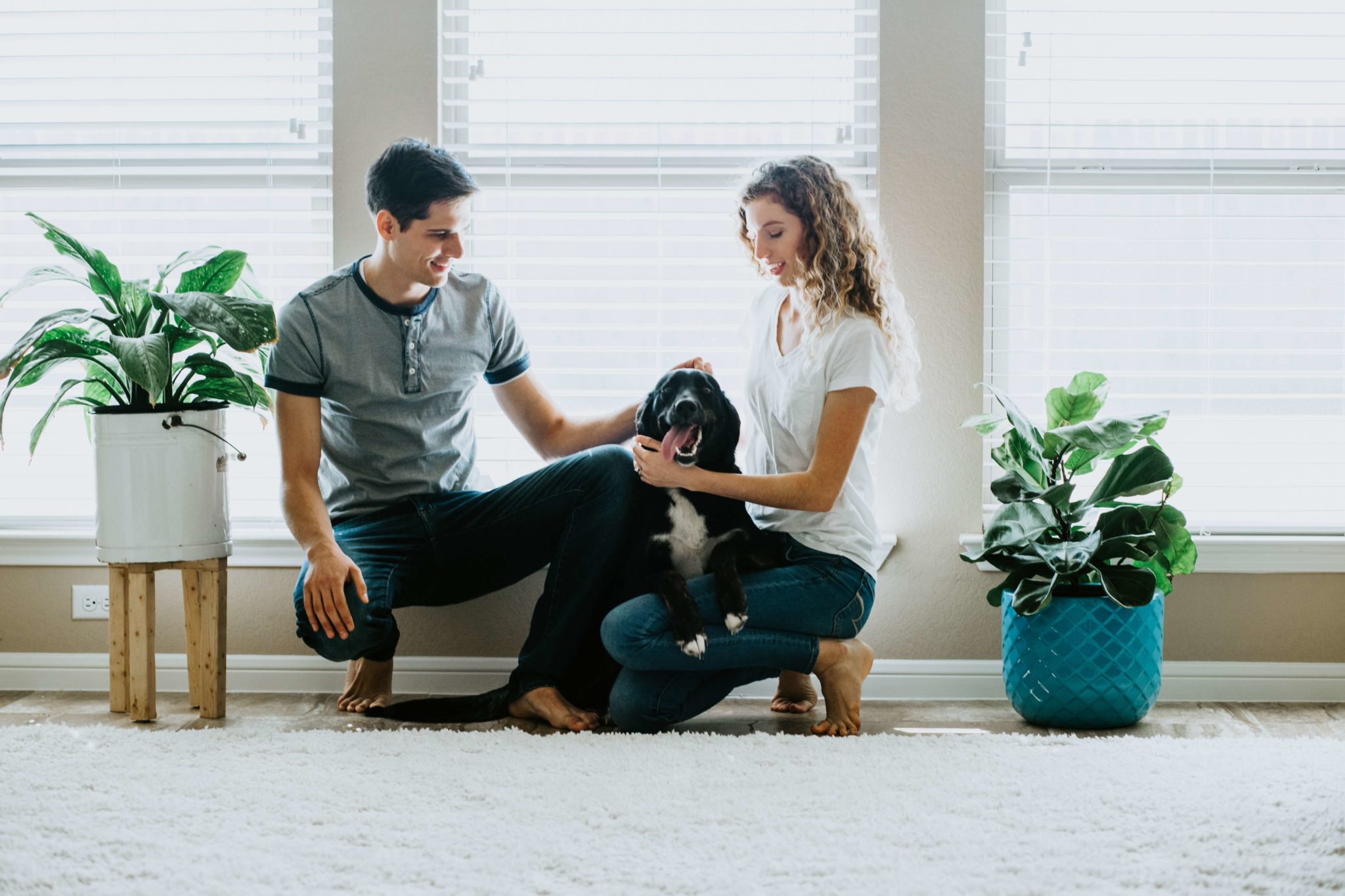 Is Pest Control Safe for My Pets and Family? Flick Pest Control