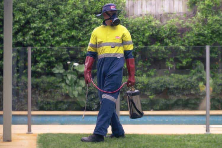 Gold Coast Pest Control Cockroach, Rodent, Bed Bug & Termite Treatment