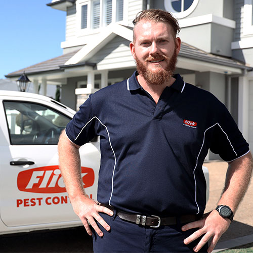 Flick Pest Control Australia’s Most Trusted Pest Control Solutions