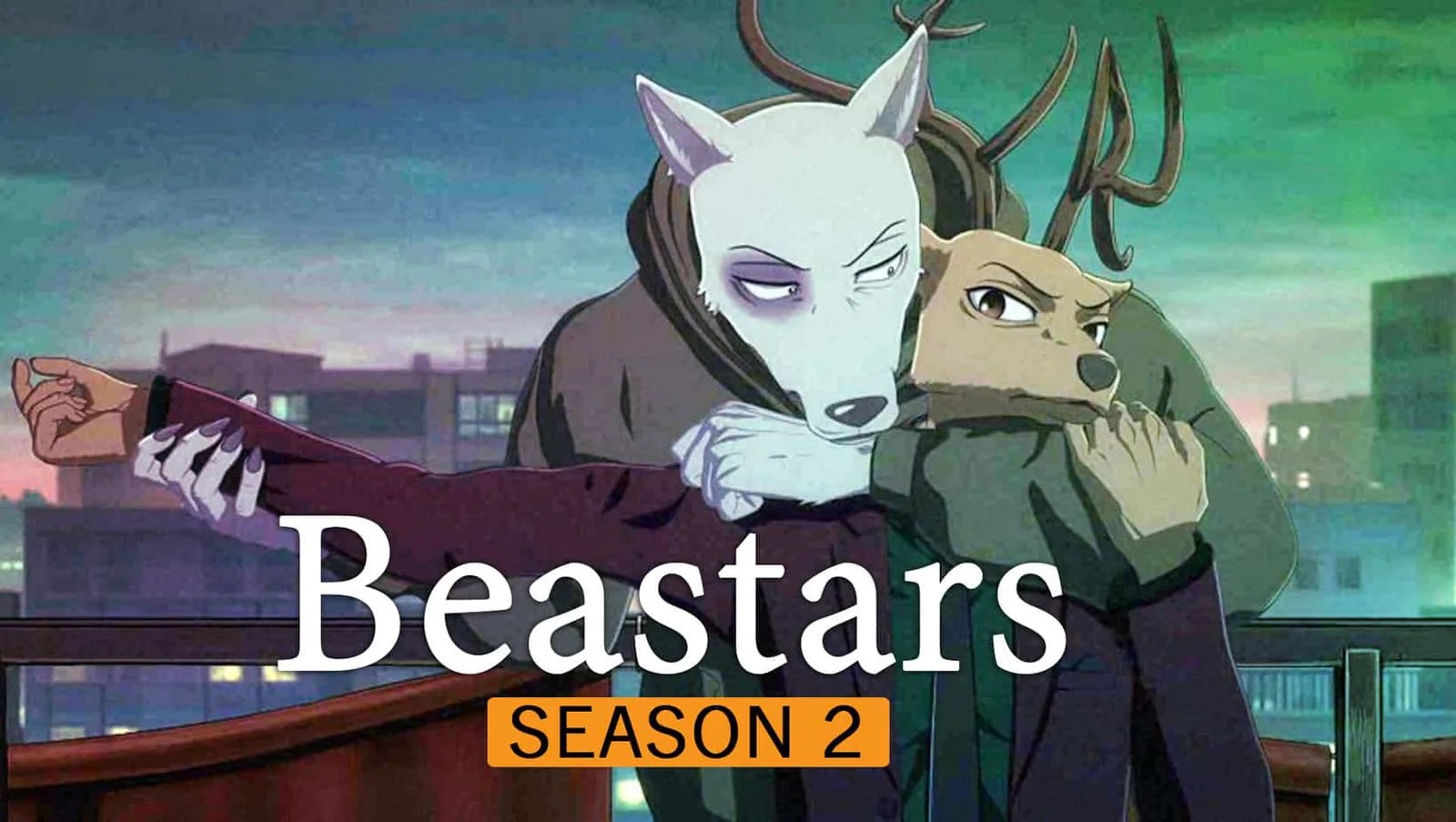 BEASTARS SEASON 2 DUB RELEASE DATE CONFIRMED FOR NETFLIX!