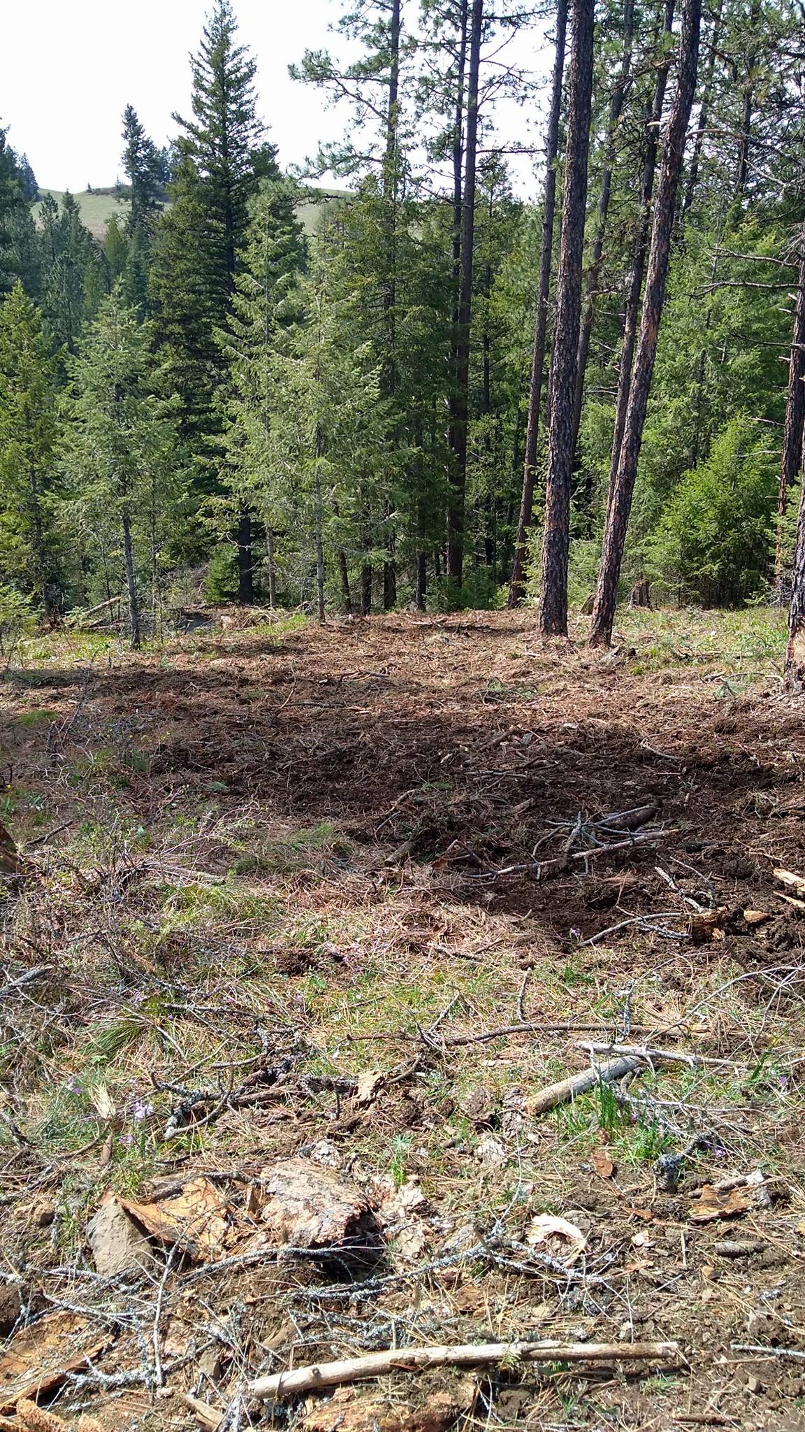 Idaho Excavation Contractor Project Portfolio Lewiston, Juliaetta