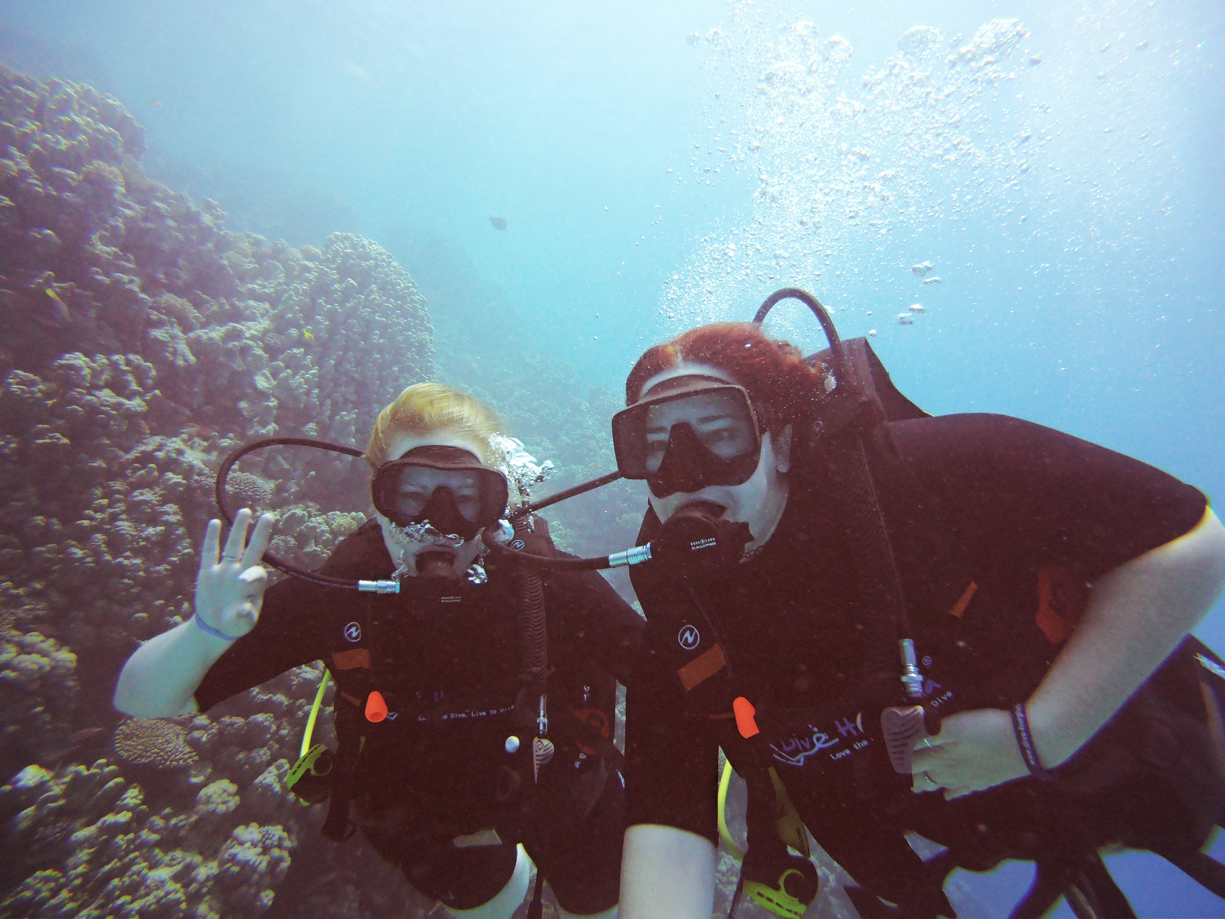 Dive Hurghada Review Best Red Sea Hurghada Diving Center Flight of