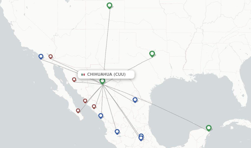 What Airlines Fly To Chihuahua Mexico? Golden Bailey Dogs