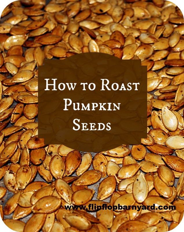 How To Roast Pumpkin Seeds The Flip Flop Barnyard