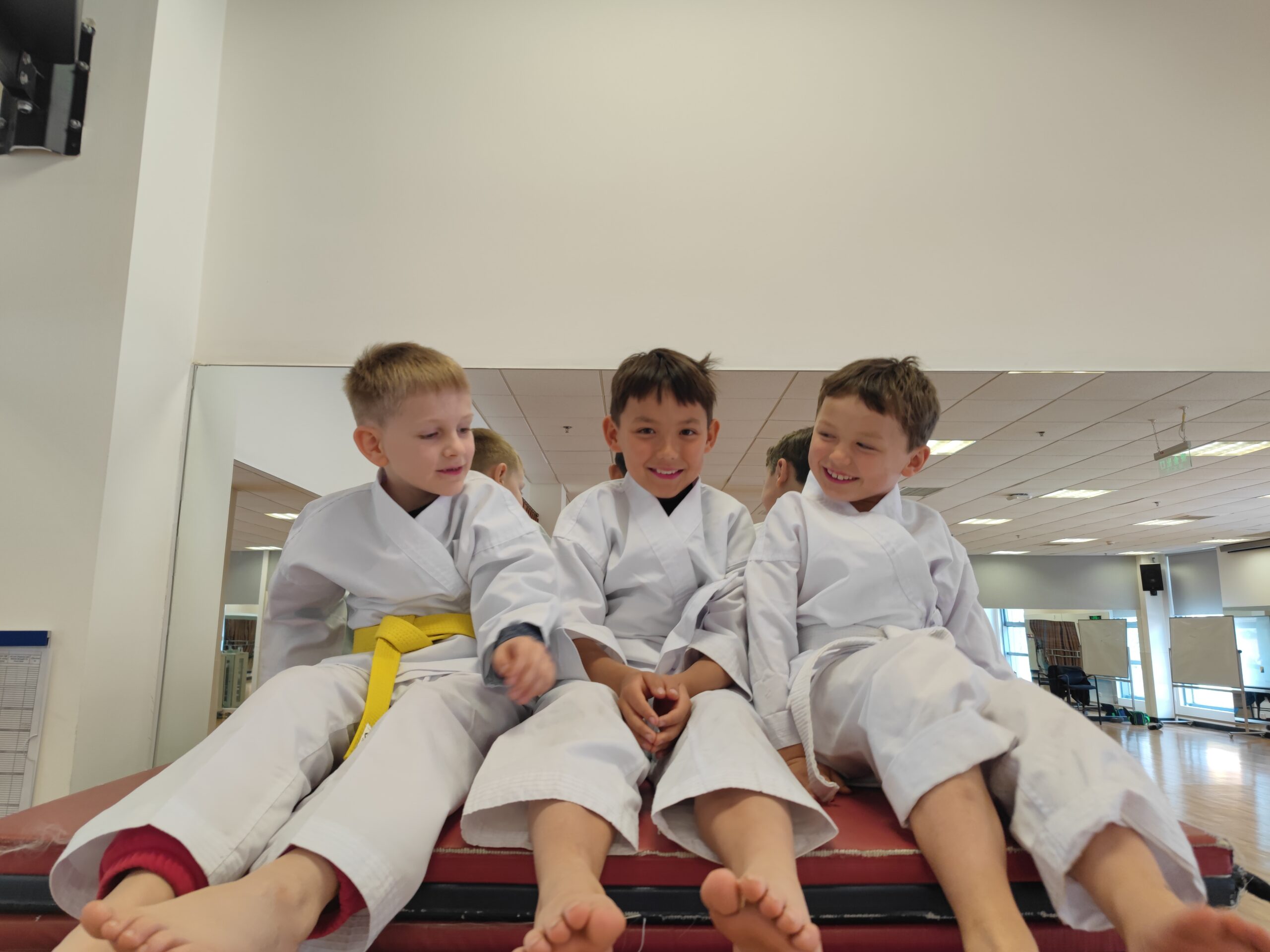 Flips & Kicks Plus Karate and Martial Arts Flips & Kicks Plus