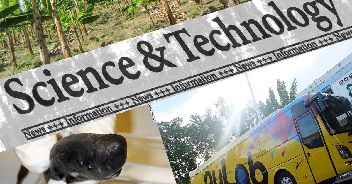 News FlipScience Top Philippine science news and features for the