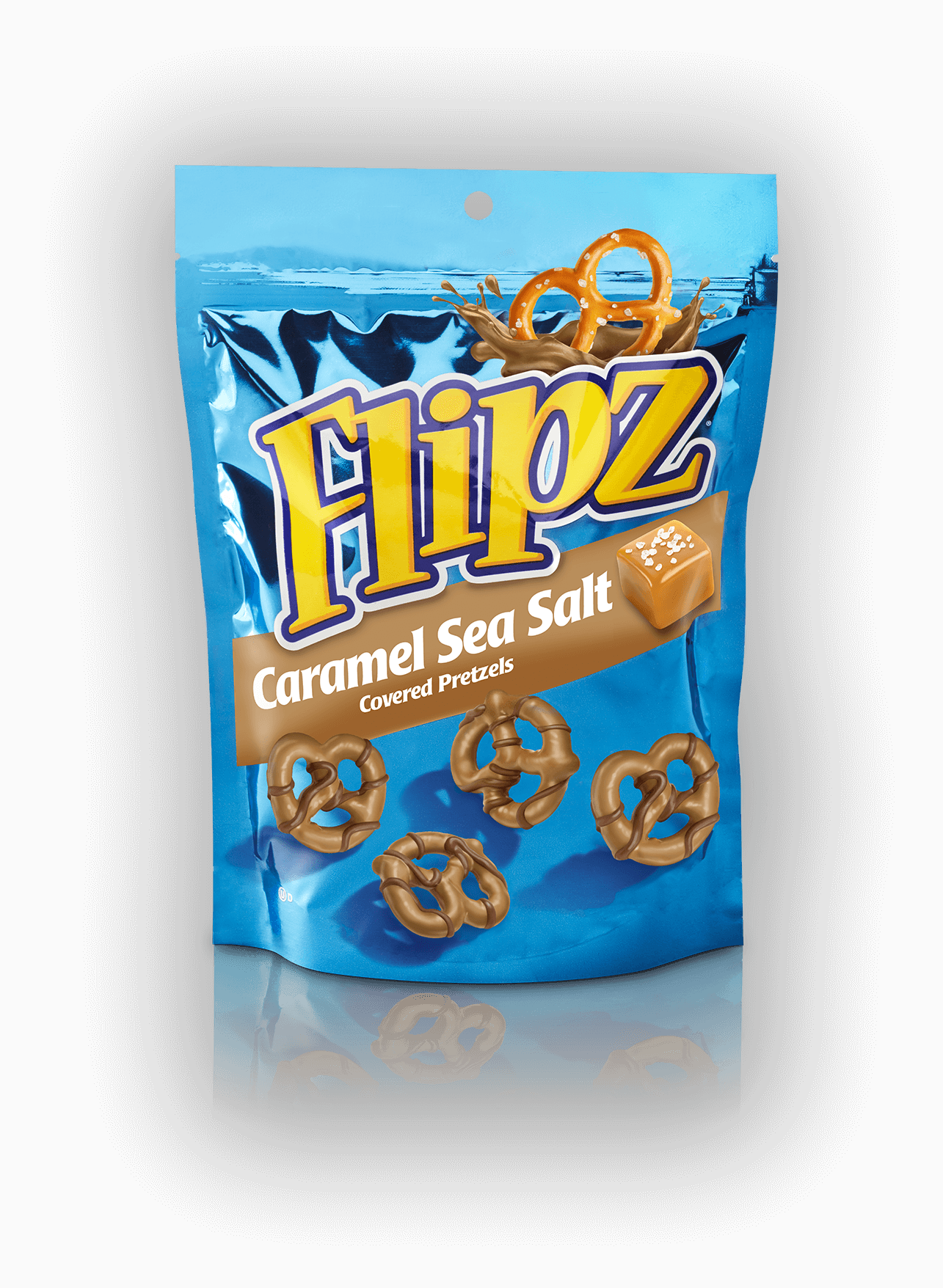 Dark Chocolate Flipz Chocolate Covered Pretzels