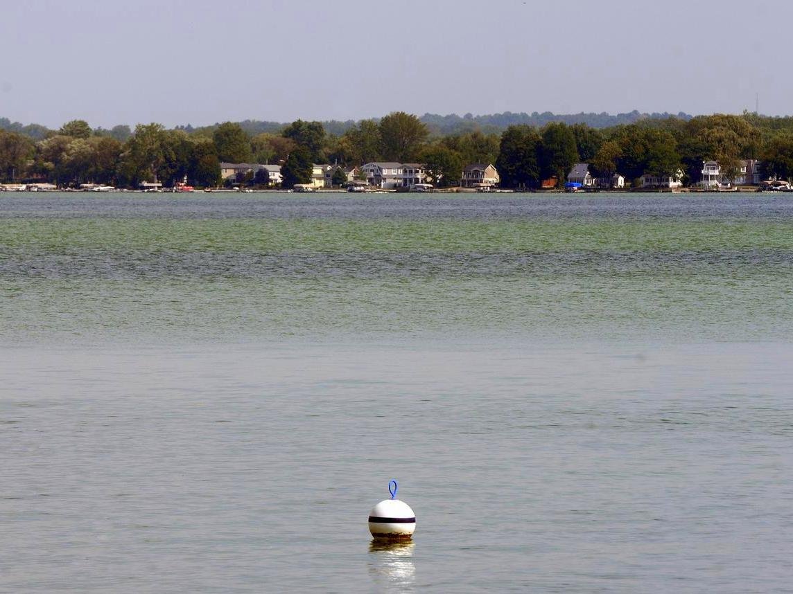 Toxic Algae Facts for Everyone to Know Finger Lakes Land Trust